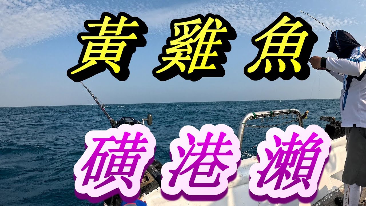 #磺港瀬黃雞魚