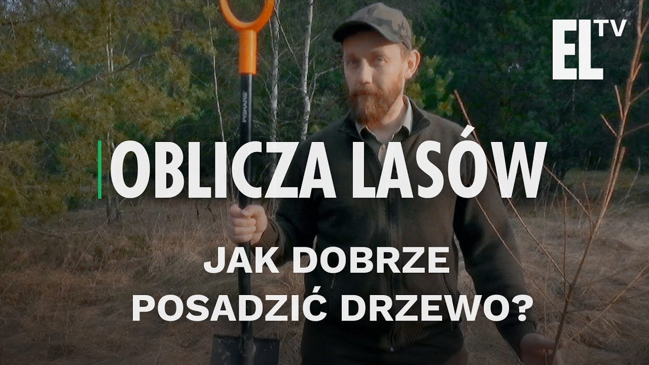 [#TeamTrees] Jak dobrze posadzić drzewo? | Oblicza lasów #16