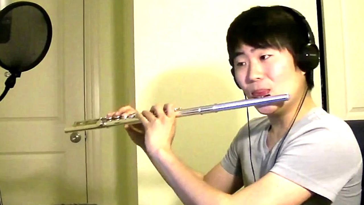 Lion King - Can You Feel the Love Tonight Flute Cover
