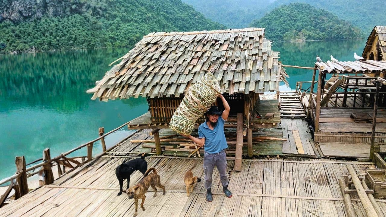 Build chicken coops and nests for laying hens. Live on a farm on water