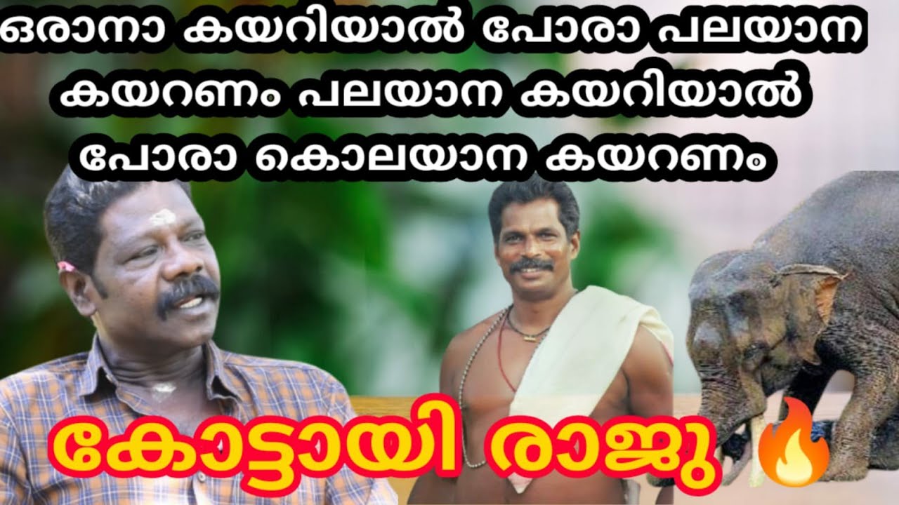 ഒരാന കയറിയാൽ പോരാ പലയാന കയറണം പലയാന കയറിയാൽ പോരാ കൊലയാന കയറണം kottayi raju new video #ഈ