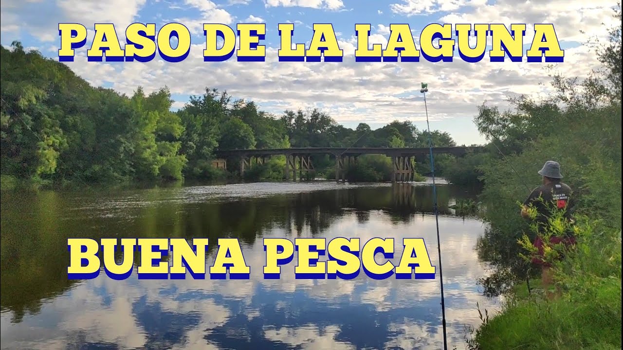 Linda pesca en el paso de la laguna, arroyo Grande en Pesca en agua dulce