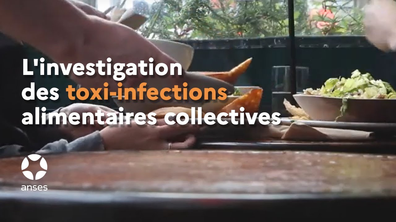 L'investigation des toxi-infections alimentaires collectives