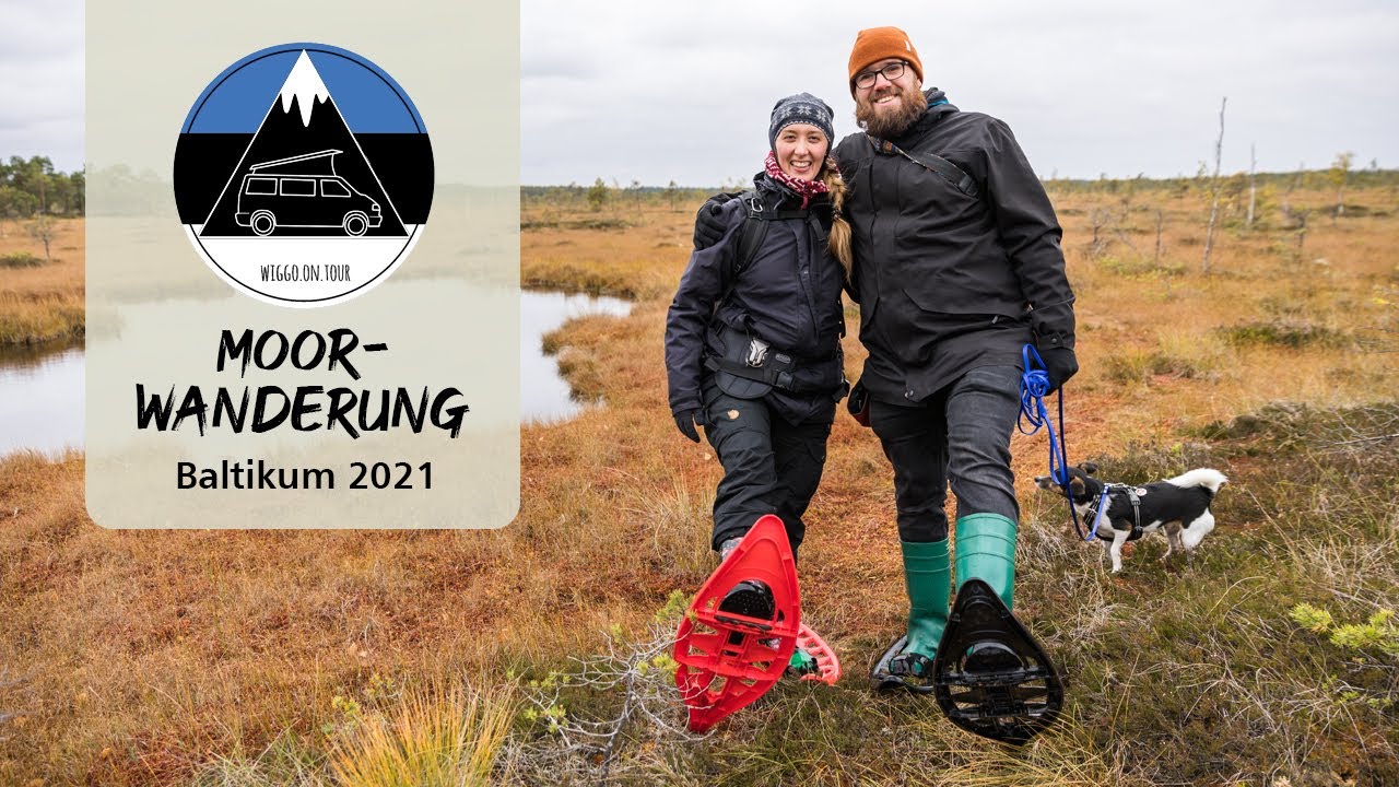 Alleine im Moor - Moorwanderung im Soomaa Nationalpark | Estland mit dem Bulli