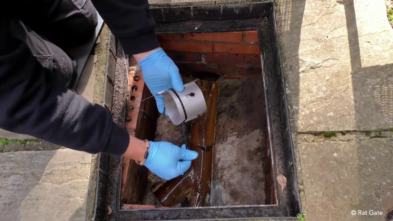 Ratgate installation is easy and it stops rats from entering your property. Call RSJ Drains today.