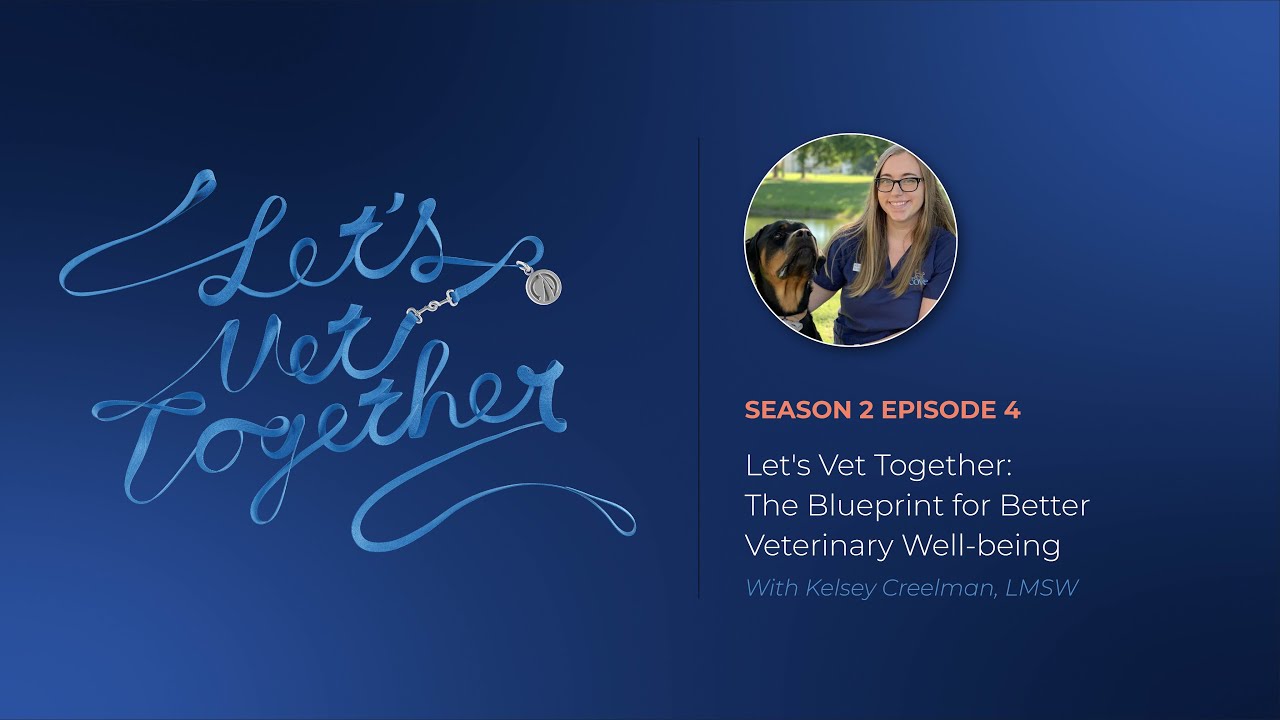 Let's Vet Together: The Blueprint for Better Veterinary Well-being