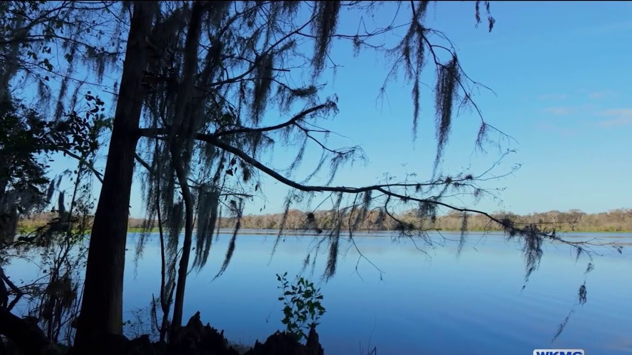 DeBary to open massive, &lsquo;one-of-a-kind&rsquo; Alexander Island nature park. What to expect