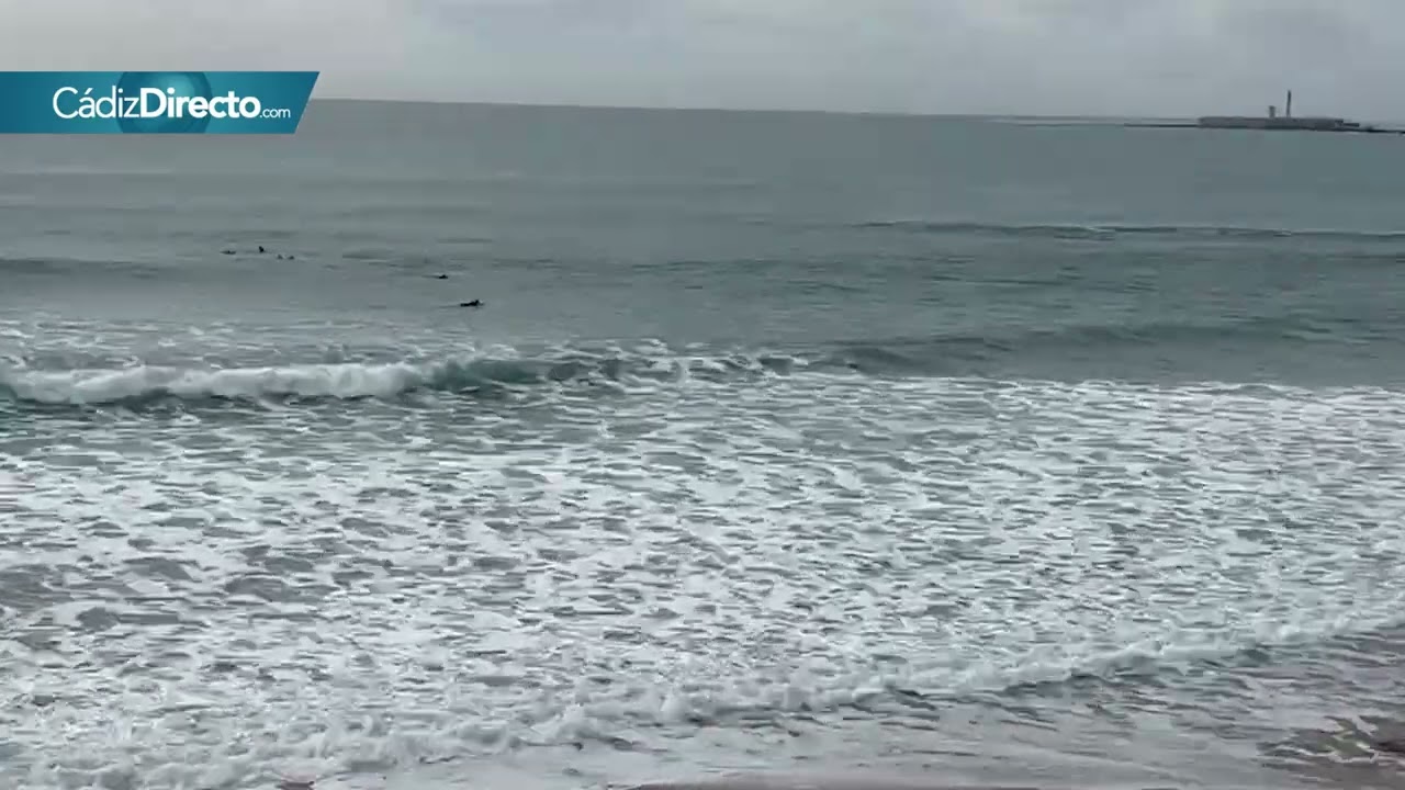 Surfistas rescatan a tres bañistas atrapados en el agua en la playa Santa María del Mar de Cádiz