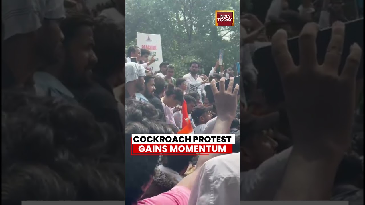 CJP News: Cockroach Protest Gains Momentum | Delhi Rally Draws Crowds Over Exam & Governance Issues