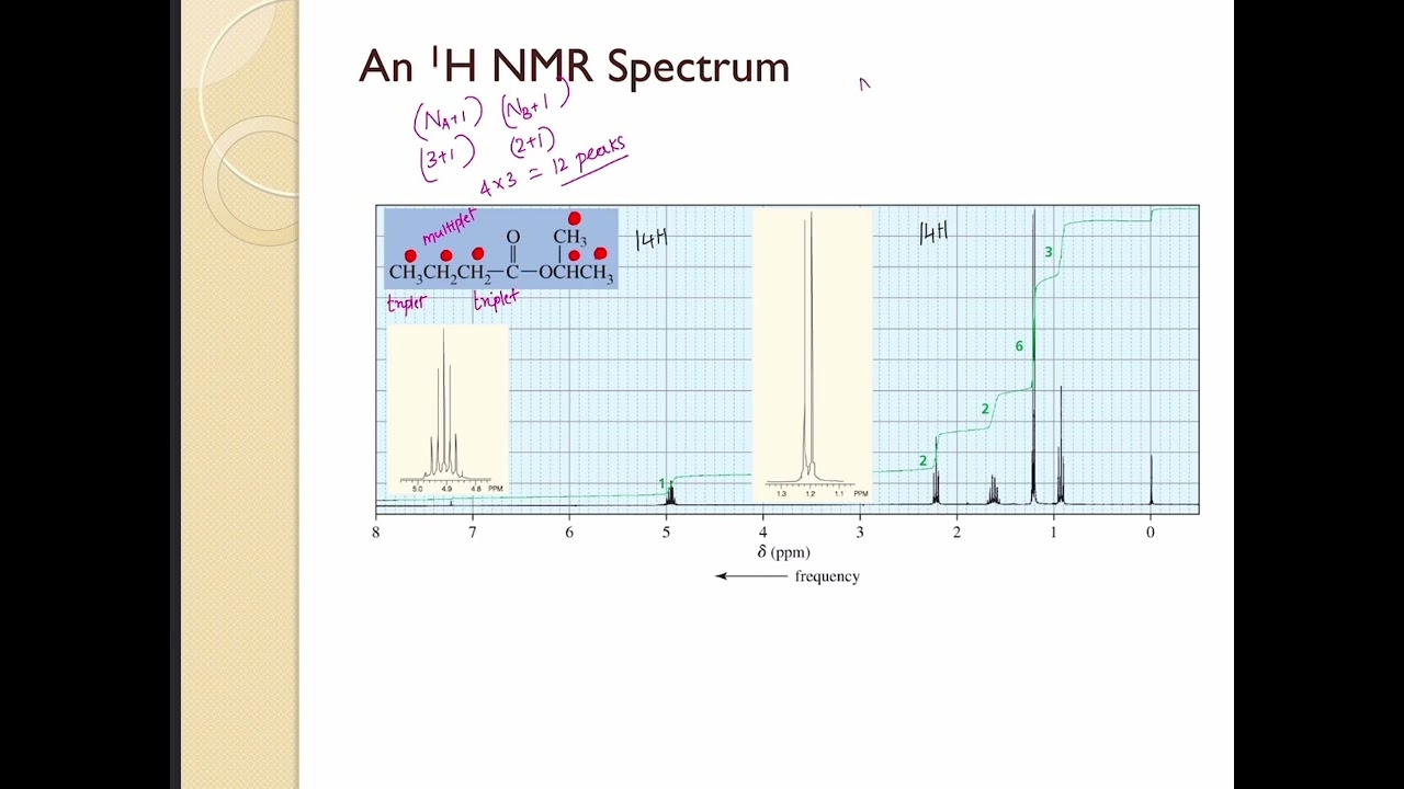 NMR Spectroscopy Part 14 - HNMR Practice problem - isopropyl butanoate