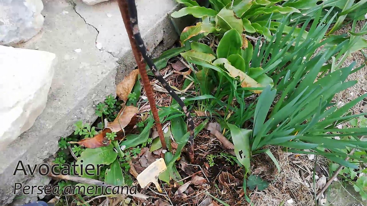 Bilan Jardin Hiver 2020-2021