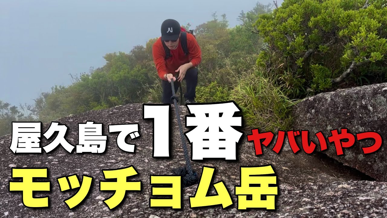 【屋久島の九州百名山】聞いてないよ！モッチョム岳がこんなにきついなんて！！！【言ってないもん】