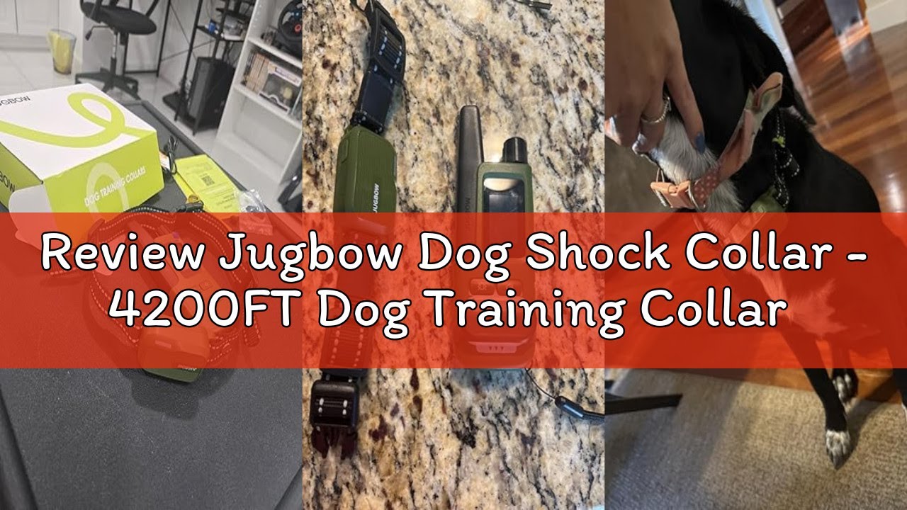 Review Jugbow Dog Shock Collar - 4200FT Dog Training Collar with Remote Innovative IPX7 Waterproof w