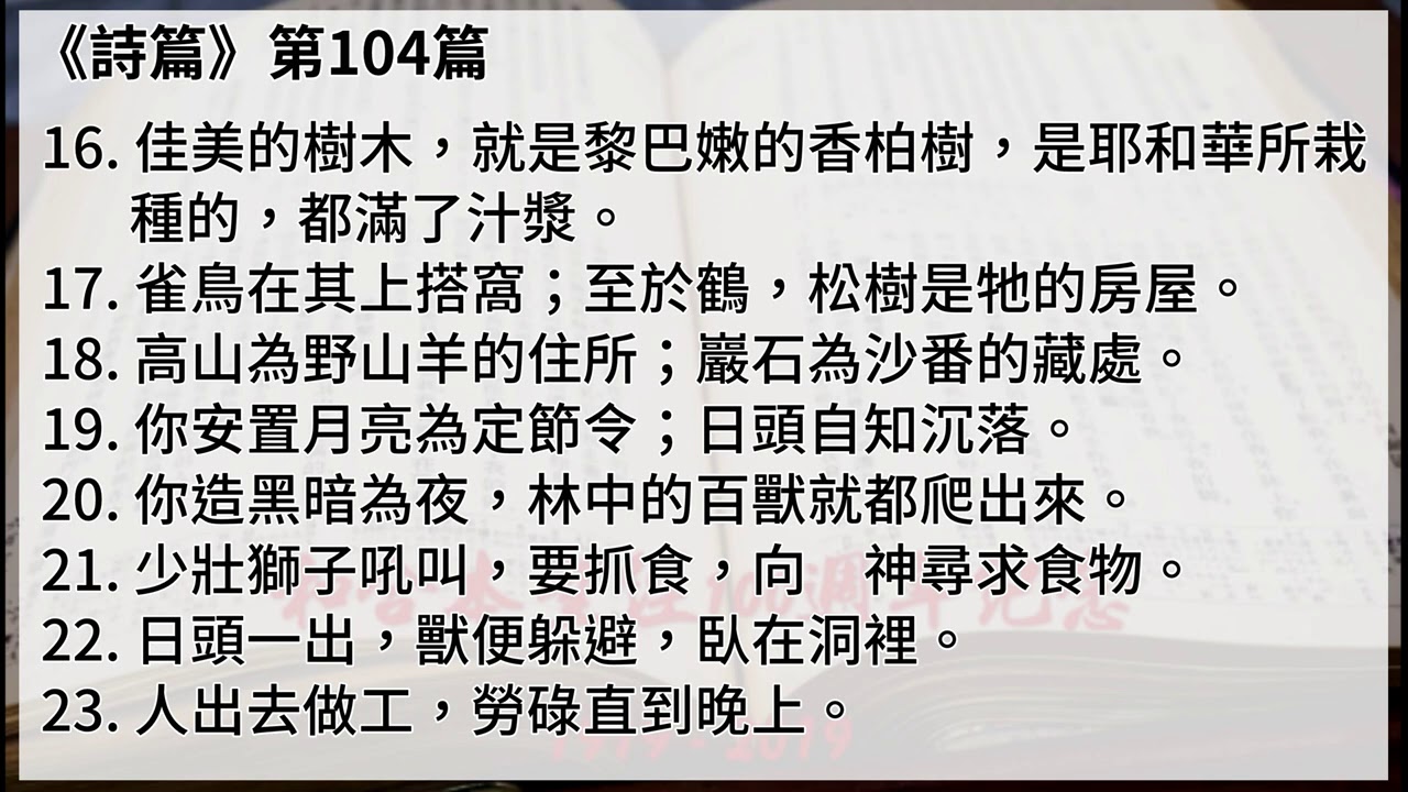 #19-3 【詩篇101-150】【有聲聖經字幕版】中文和合本聖經100週年紀念