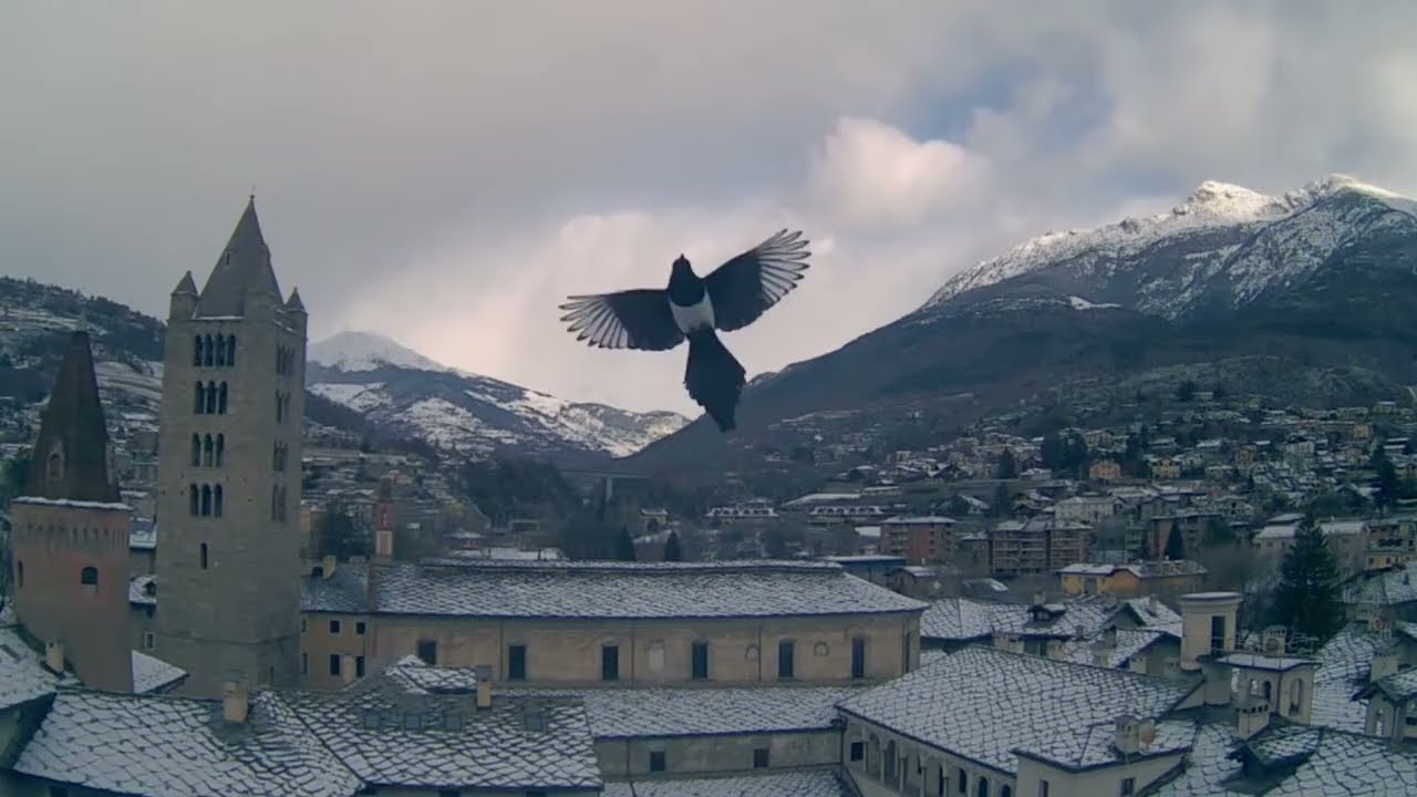 Aosta - Valle d'Aosta - meteo 10 gennaio 2026