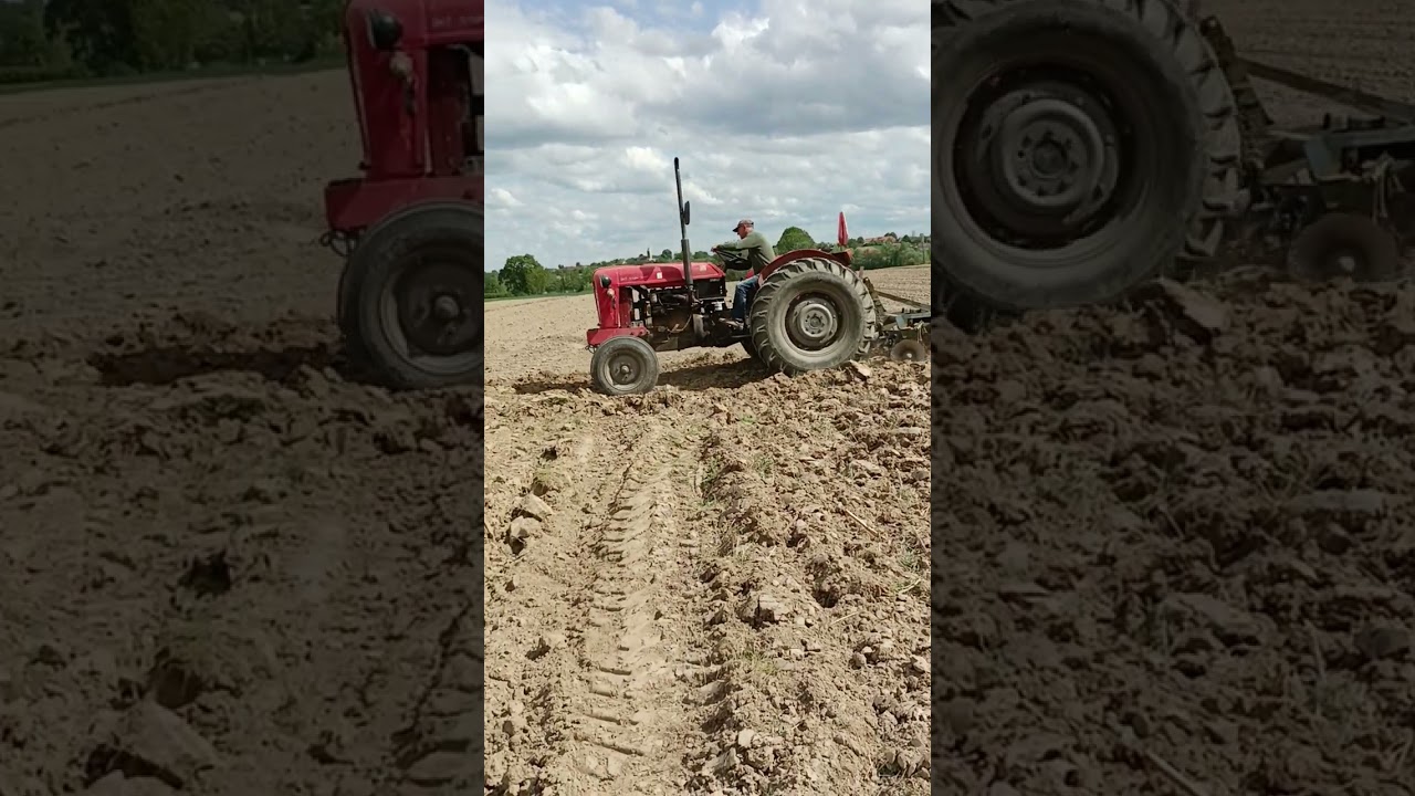 Deda Mirko i njegov osmak tanjuraju🚜🙃😁😎