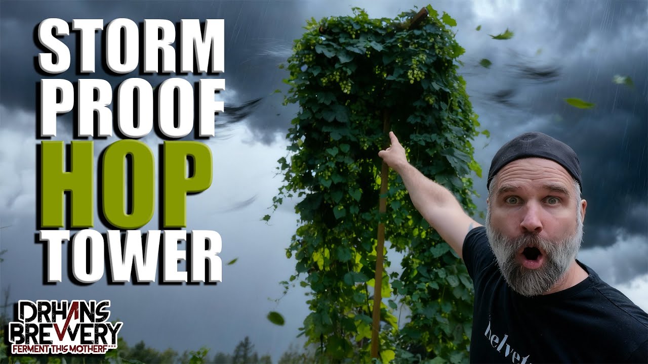 How I Built My Tippable Hop Trellis (DIY Hop Pole for Easy Harvest)