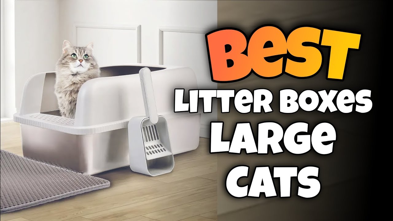 TOP 3:✅BEST CAT LITTER BOXES for LARGE CATS 2025-2026 #catlitterbox #cat #littermates  #litterbox 