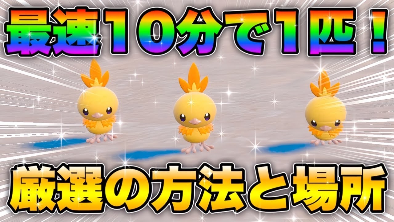 【ポケモンsv厳選】色違いアチャモの効率的な入手方法！