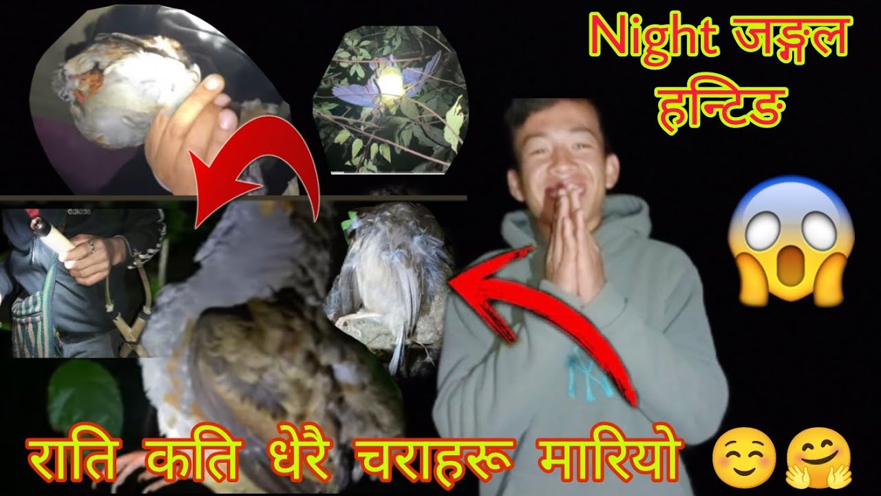 night जङ्गल हन्टिङ, कति धेरै चरा मारियो 🤗☺️#keepsupporting #chetanvlogss