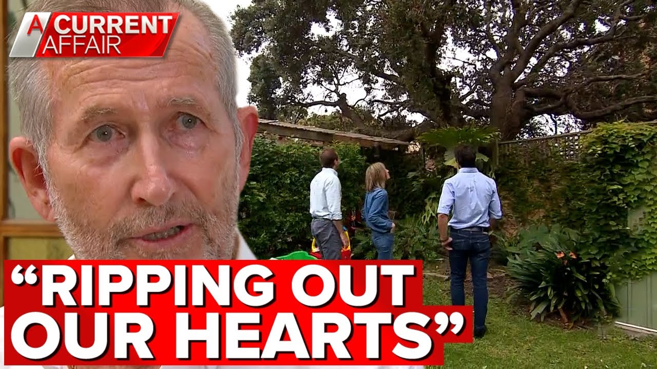 Family's battle to save century-old tree from developer | A Current Affair