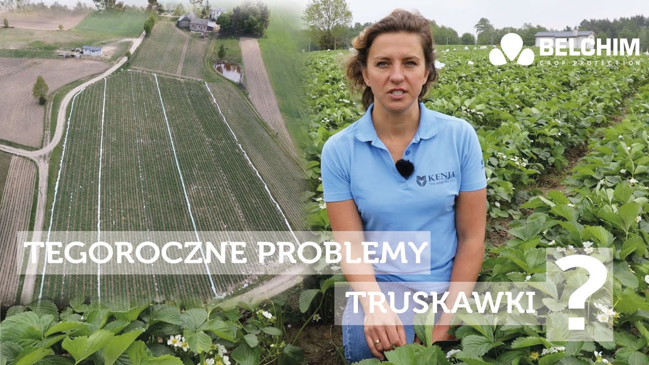 PROBLEMY TRUSKAWKI? rozwiązanie w pigułce [ KENJA | ALCEDO | MILBEKNOCK ]