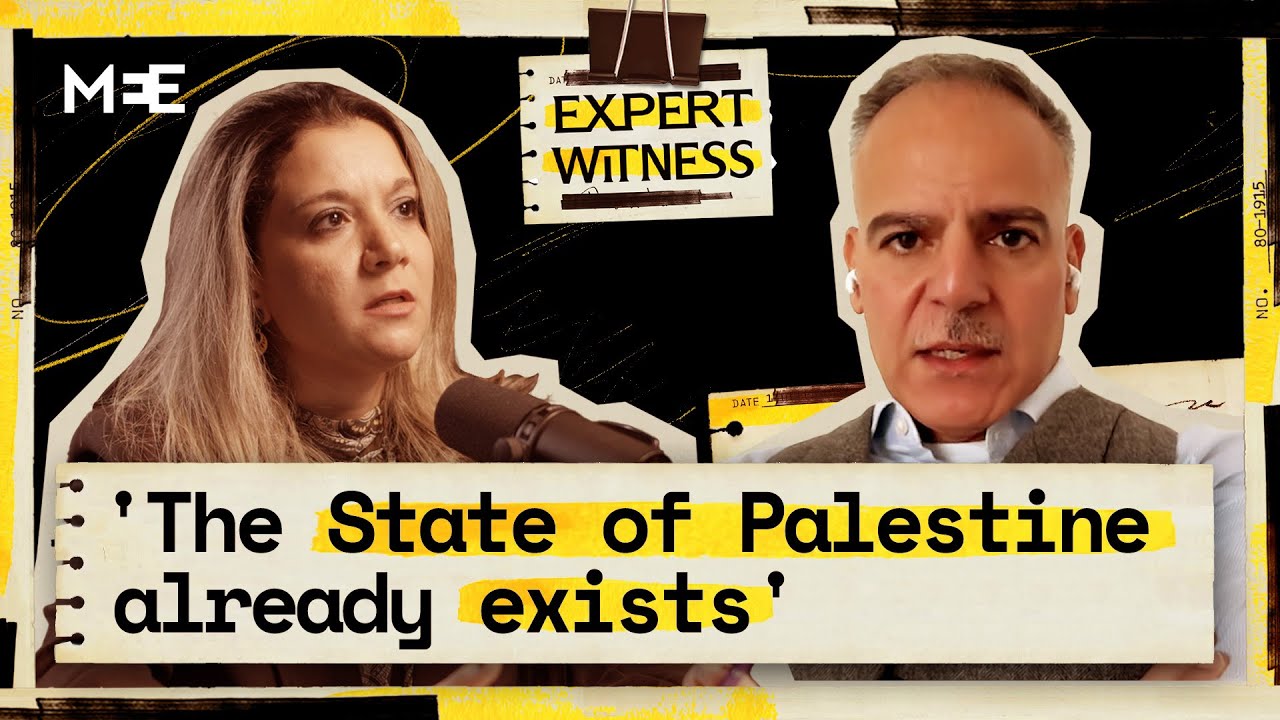 Recognition of Palestine: Does it matter? | Ardi Imseis | Expert Witness