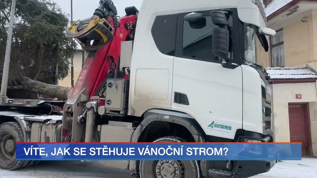 Víte, jak se stěhuje vánoční strom?