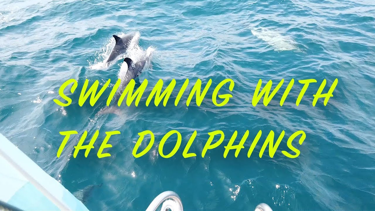 Part 7: Guernsey -  L'Herbaudiere: Swimming with the Dolphins