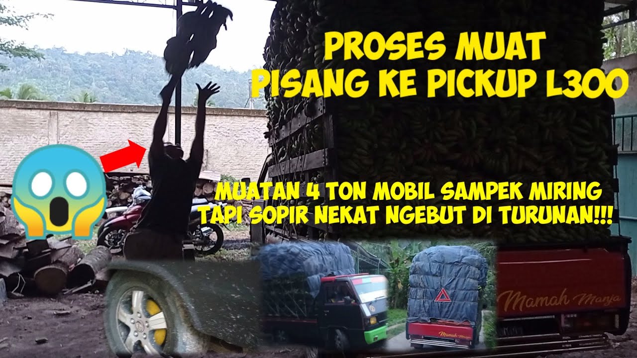 L300 MUATAN BERAT 4 TON||PROSES MUAT PISANG||LAMPUNG PESAWARAN WAY RATAI