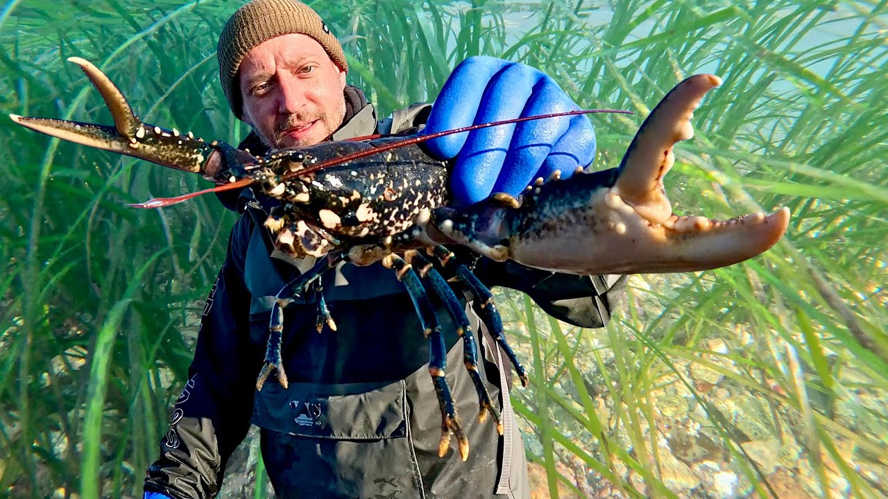 ON THE HUNT FOR SOME LOBSTERS | LOBSTER FORAGING WITH SMASH FISHING | PLUS A SURPRISE CATCH!