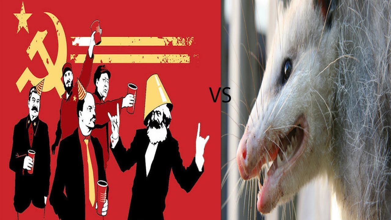 Dark souls 3:  Communism VS Possum