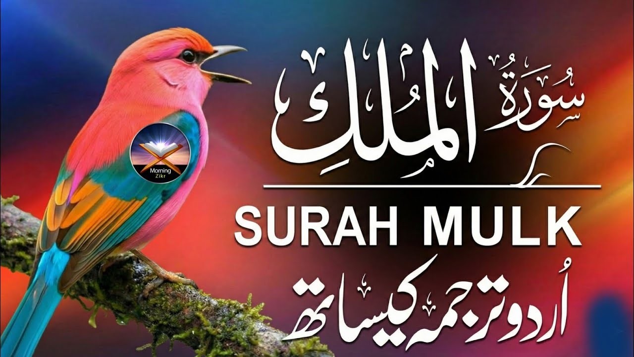 Surah Al-Mulk (سورة الملك) | Arabic Recitation with Urdu & Hindi Translation | Full Qari Mansoor