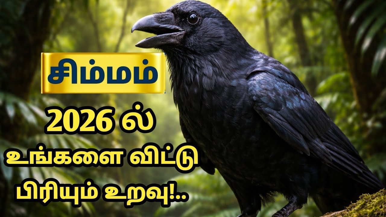 சிம்மம் | 2026 ல் 100% இது நிச்சயம் நடக்கும்! 6 பெரிய திருப்பங்கள்! new year rasi palan - simmam