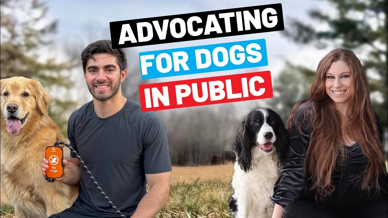 Advocating For Your Dog In Public With Visual Cues (David Rowland Of Spokespup)