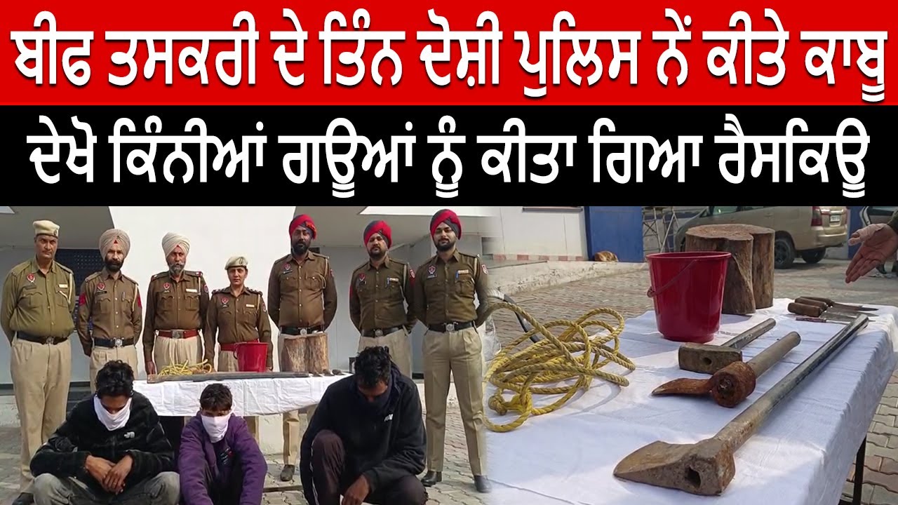 Pathankot News : ਦੇਖੋ ਪਠਾਨਕੋਟ ਪੁਲਿਸ ਨੇਂ ਕਿੰਨੀਆਂ ਗਊਆਂ ਨੂੰ ਕੀਤਾ ਗਿਆ ਰੈਸਕਿਊ | Live   Tej Channel |
