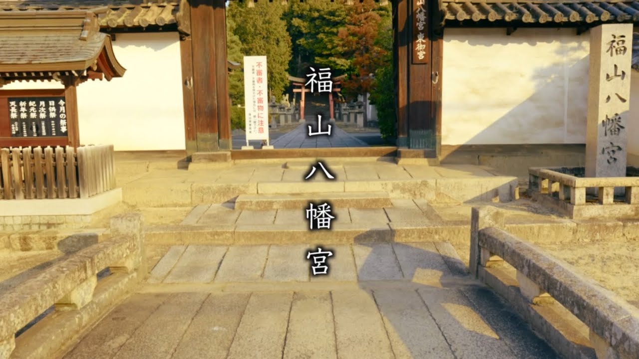 静寂と祈りの時間｜豆柴さくらと福山八幡宮参拝｜立派すぎる広島の神社