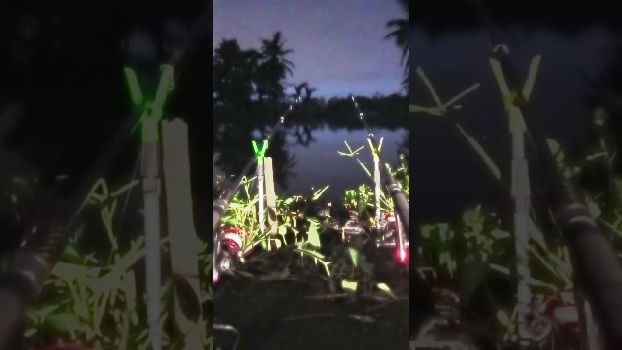 WAF sedang live sekarang!
