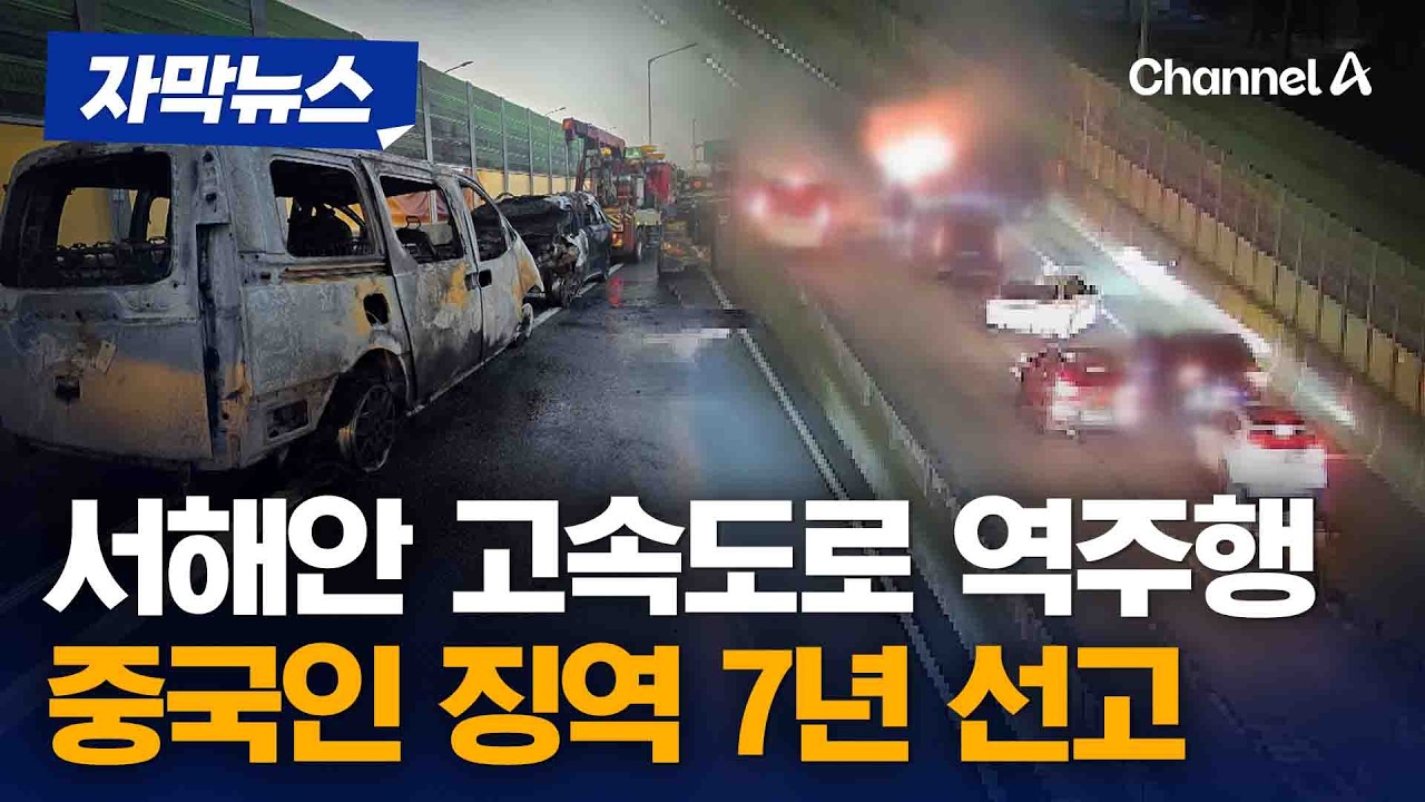 '고속도로 음주 역주행' 20대 중국인, 1심 징역 7년 선고 [자막뉴스] / 채널A
