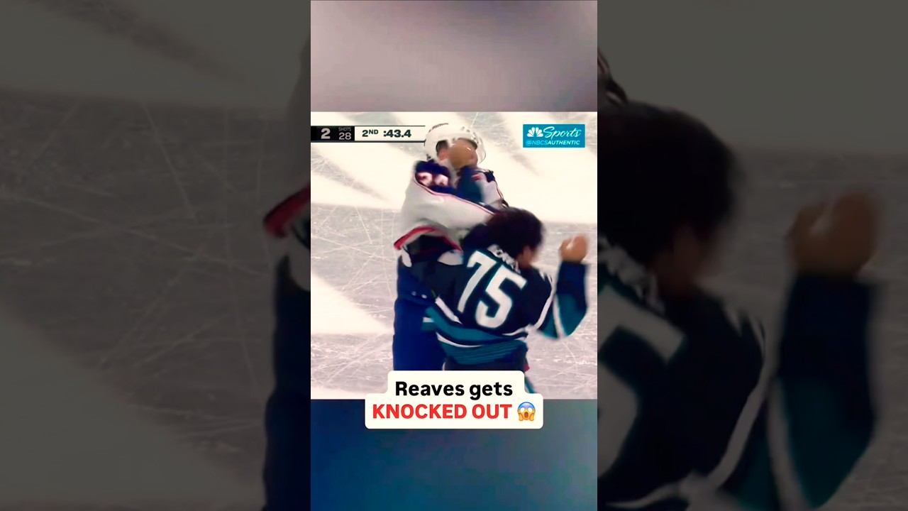 NHL HOCKEY FIST FIGHT 🤯 