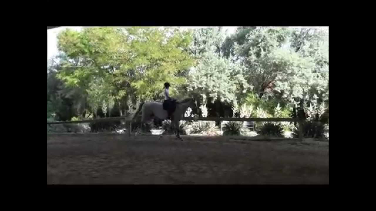 Diego 2014 Csabdi