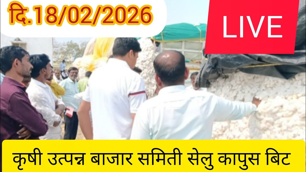 दि.18/02/2026 कृषी उत्पन्न बाजार समिती सेलु कापुस बिट आजचे बाजारभाव 