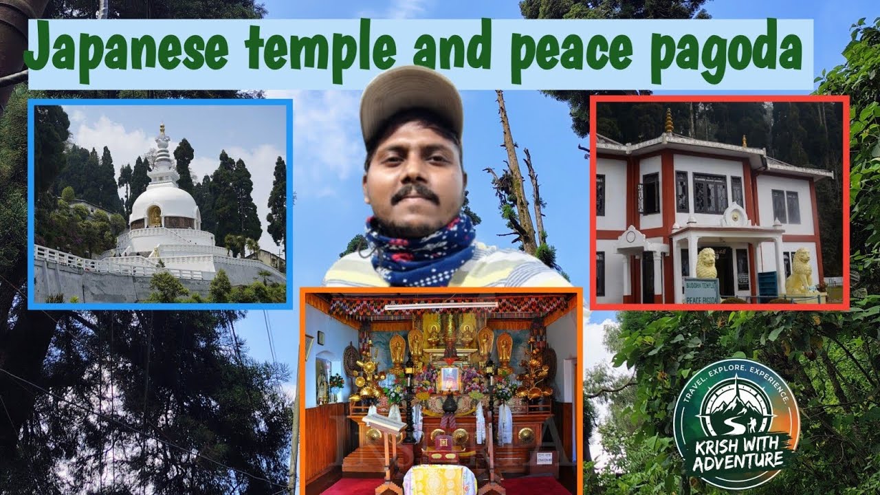 শান্তির খোঁজে পিস প্যাগোডায় .. Darjeeling Peace Pagoda & Japanese Temple Tour
