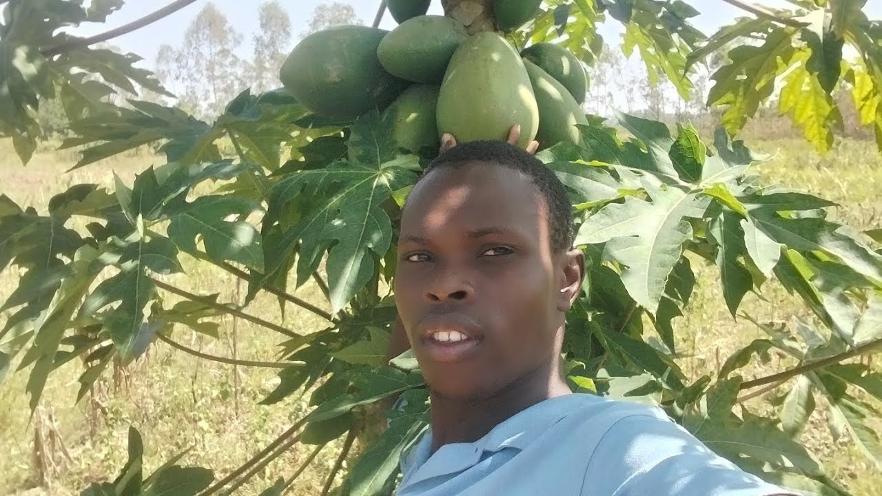 BIG SUPRISE FROM THE FARM PRODUCTION 