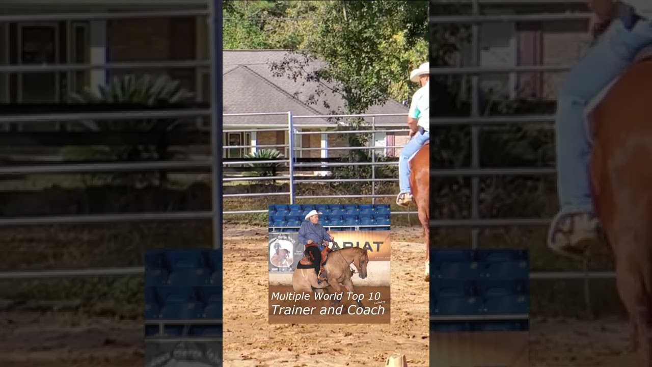 What bit should I use on my horse