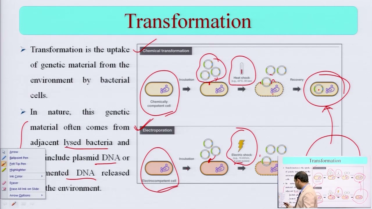 Microbial Genetics: Transformation, Transduction, Conjugation, Plasmids and Transposons