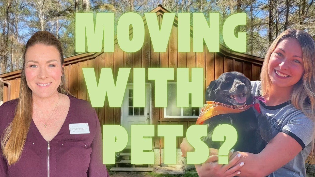 You Won’t Believe What This Pet Business Is Doing in Harris County GA | Adventure Pups