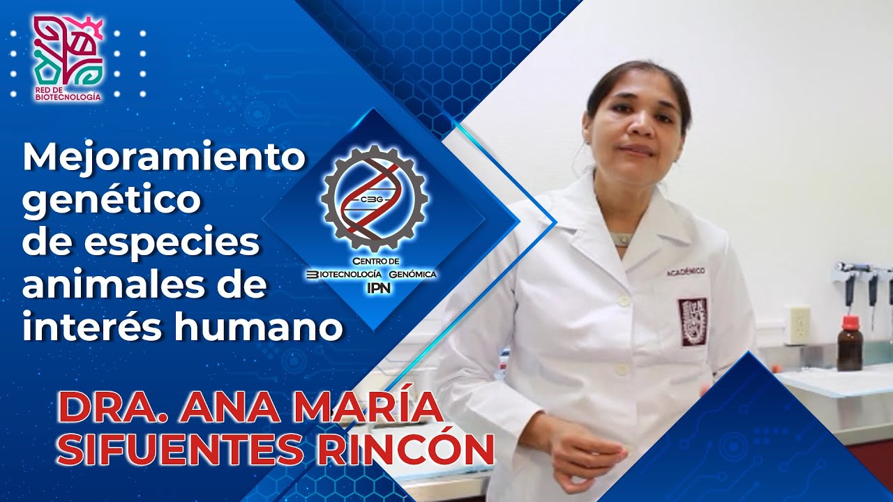 Mejoramiento genético de especies animales de interés humano- Dra. Ana María Sifuentes Rincón, CBG