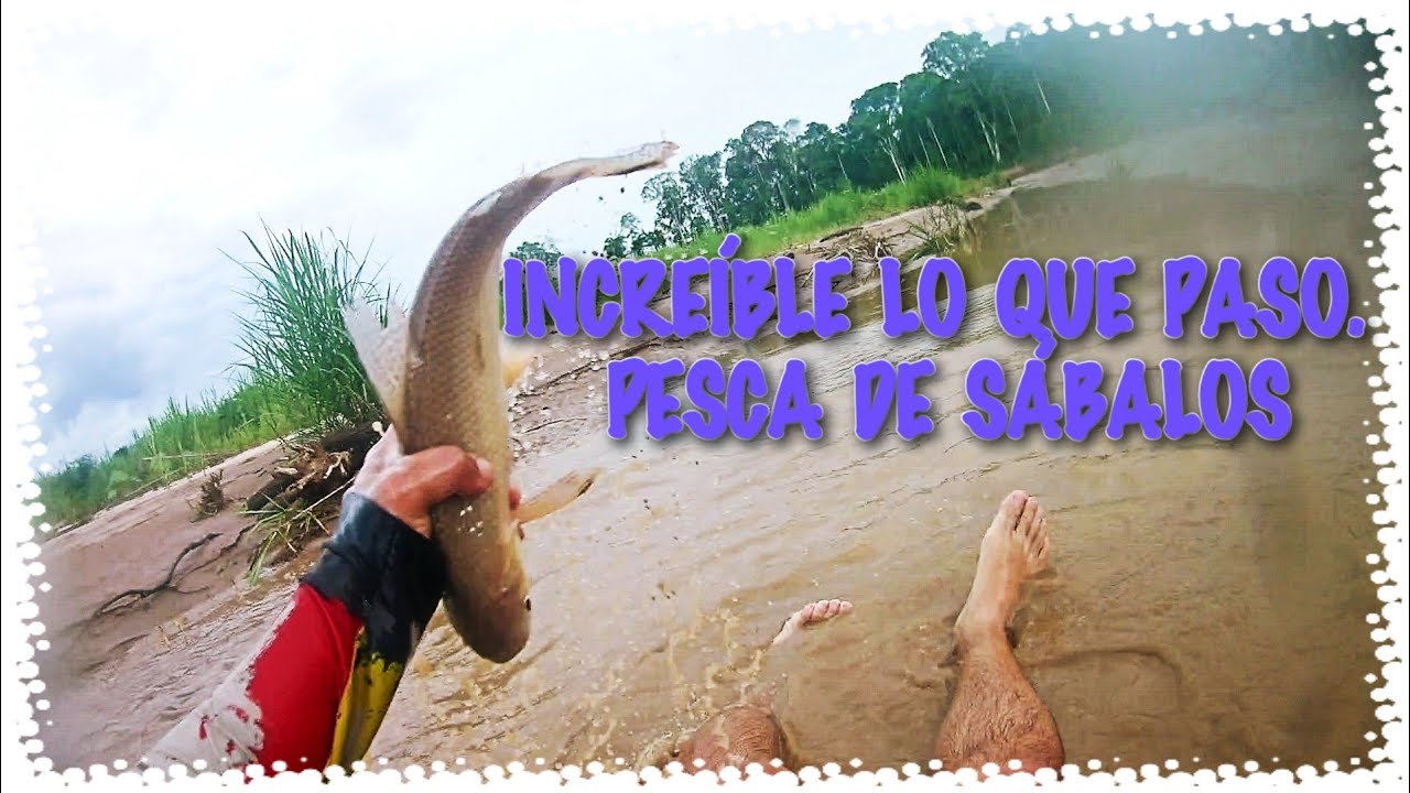 INCREÍBLE PESCA CON ATARRAYA En el Trópico de Cochabamba - Bolivia (Parte 2)