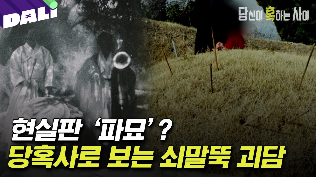 ＂무당들도 함부로 안 하는 일＂ 현실판 '파묘'? 누가 무덤에 378개의 쇠말뚝을 박았는가 | 당신이 혹하는 사이 (SBS방송)